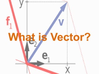 What is Vector?
 