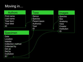 Authors
Moving in…
First name
Last name
Year born
Year died
ID
Taxa
Genus
Species
Parent taxon
Author(s)
Year
ID
Images
Species
Sex
Anatomy
View
Creator
Institution
ID
Specimen
Date
Location
Habitat
Collection method
Collected by
Det as
Det by
Institution
ID
 