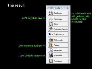The result
4474 linyphiid taxa =>
291 linyphiid authors =>
241 LinEpig images =>
<= specimen info
will go here, with
a field for the
institution
 