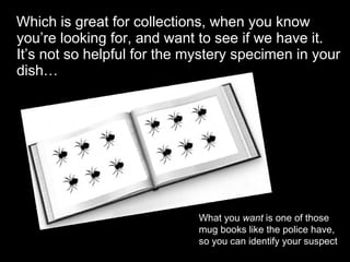 Which is great for collections, when you know
you’re looking for, and want to see if we have it.
It’s not so helpful for the mystery specimen in your
dish…
What you want is one of those
mug books like the police have,
so you can identify your suspect
 