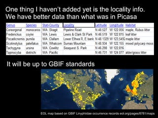 One thing I haven’t added yet is the locality info.
We have better data than what was in Picasa
It will be up to GBIF standards
EOL map based on GBIF Linyphiidae occurrence records eol.org/pages/8781/maps
 