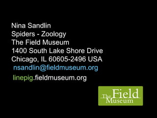 Nina Sandlin
Spiders - Zoology
The Field Museum
1400 South Lake Shore Drive
Chicago, IL 60605-2496 USA
nsandlin@fieldmuseum.org
llinepig.fieldmuseum.org
 