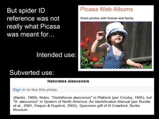 Intended use:
Subverted use:
But spider ID
reference was not
really what Picasa
was meant for…
 