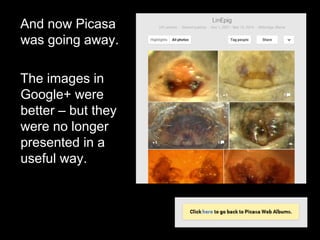 And now Picasa
was going away.
The images in
Google+ were
better – but they
were no longer
presented in a
useful way.
 