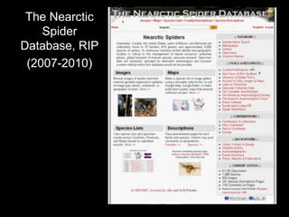 The Nearctic
Spider
Database, RIP
(2007-2010)
 