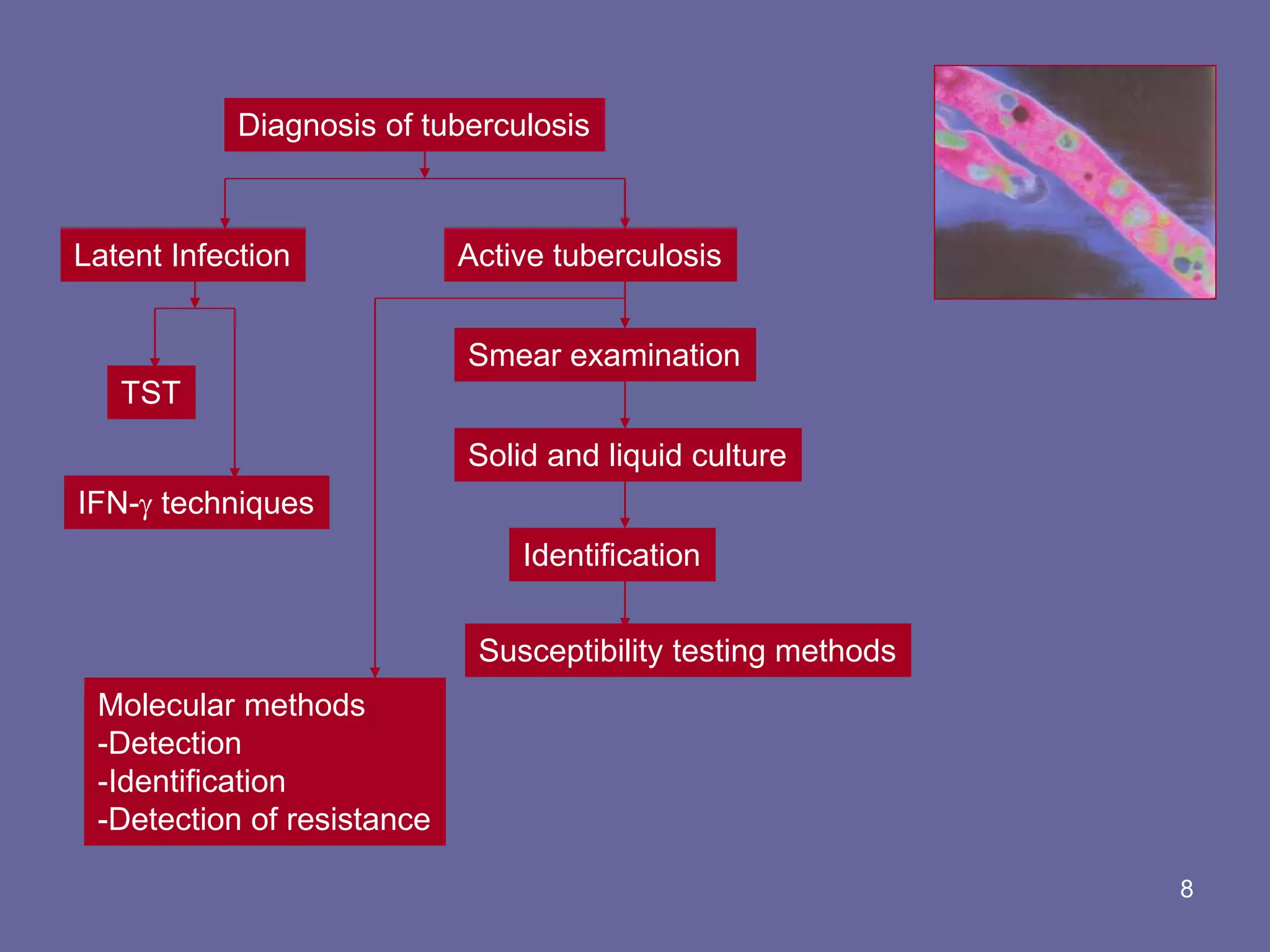 Diagnosis of tuberculosis
Latent Infection Active tuberculosis
Smear examination
Solid and liquid culture
Identification
Susceptibility testing methods
TST
IFN- techniques
Molecular methods
-Detection
-Identification
-Detection of resistance
8