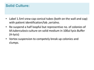 Loopful Line Probe Assay for Mycobacterium tuberculosis .pptx