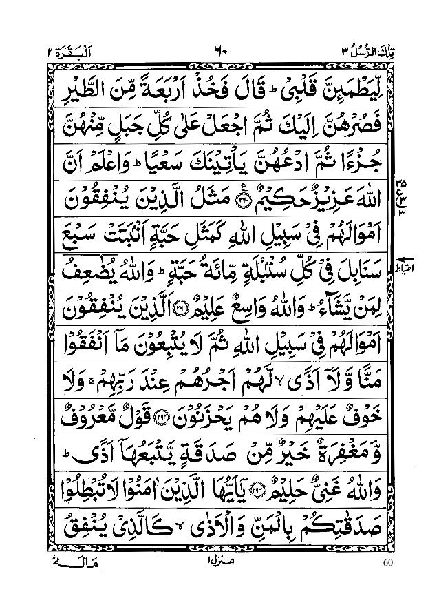 13 line quran pdf