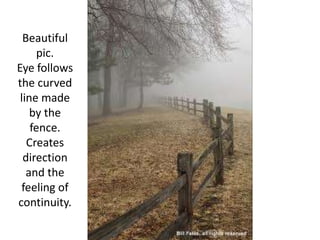 Beautiful pic.Eye follows the curved line made by the fence.Creates direction and the feeling of continuity. 