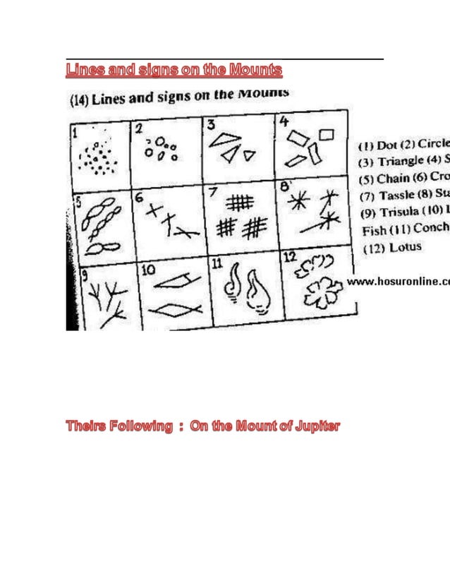 Lines and signs on the mounts ( mount of jupiter ) . PDF