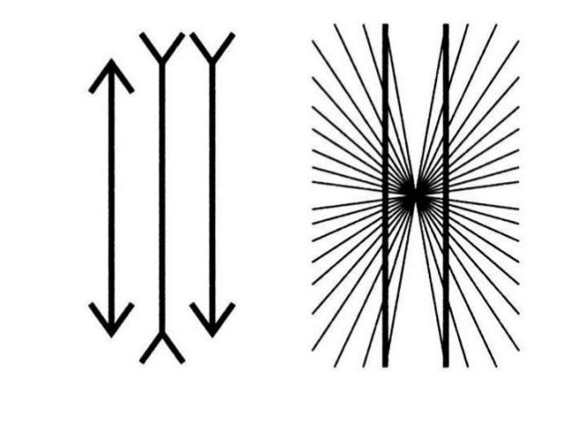 simple lines