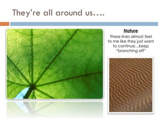 They’re all around us…. These lines almost feel to me like they just want to continue…keep “branching off” Nature 