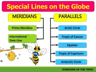 Special Lines on the Globe 
MERIDIANS PARALLELS 
Prime Meridian 
International 
Date Line 
Arctic Circle 
Tropic of Cancer 
Equator 
Tropic of Capricorn 
Antarctic Circle 
OVERVIEW OF THE TOPIC 
 