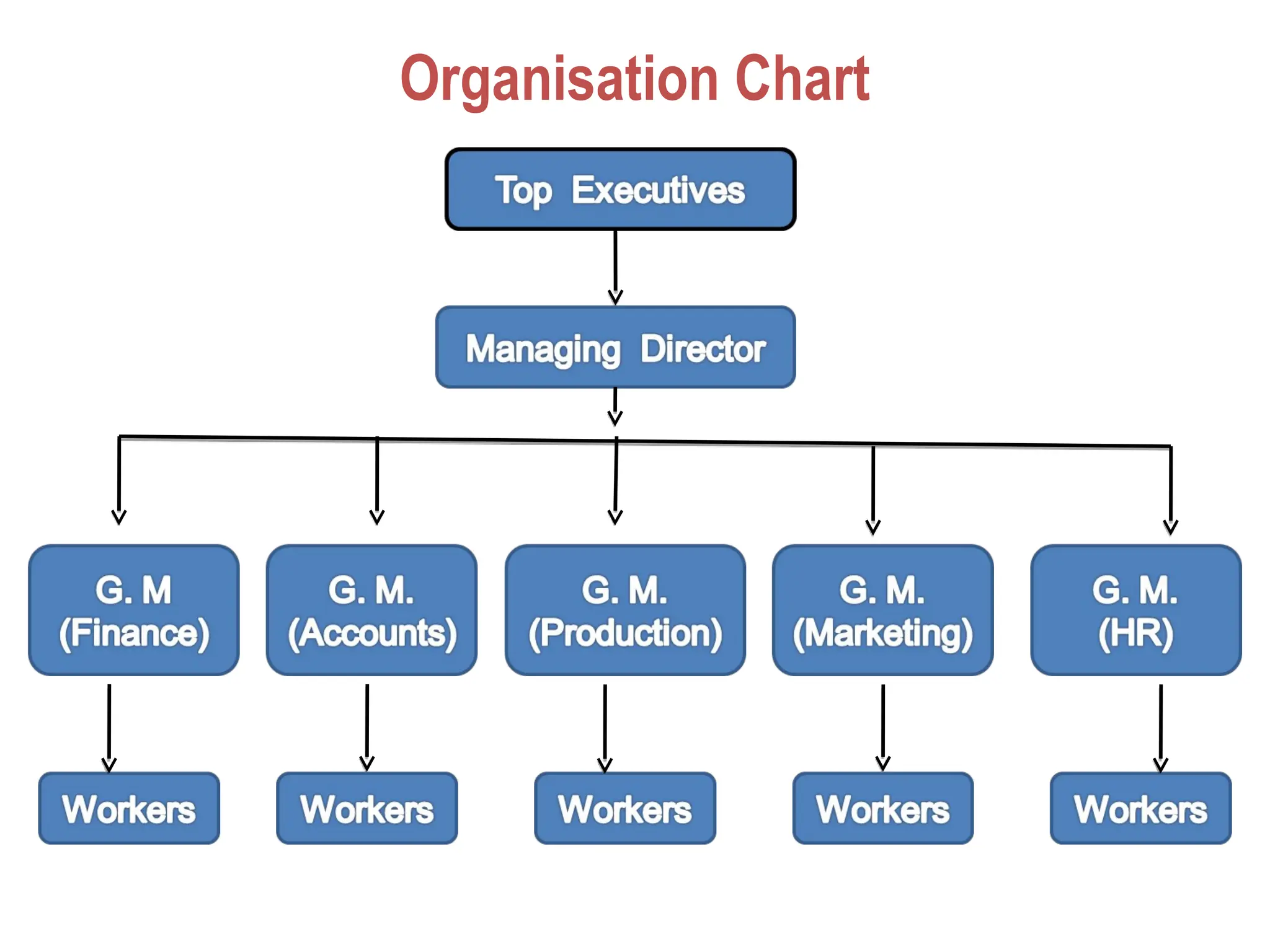 Organisation Chart
 