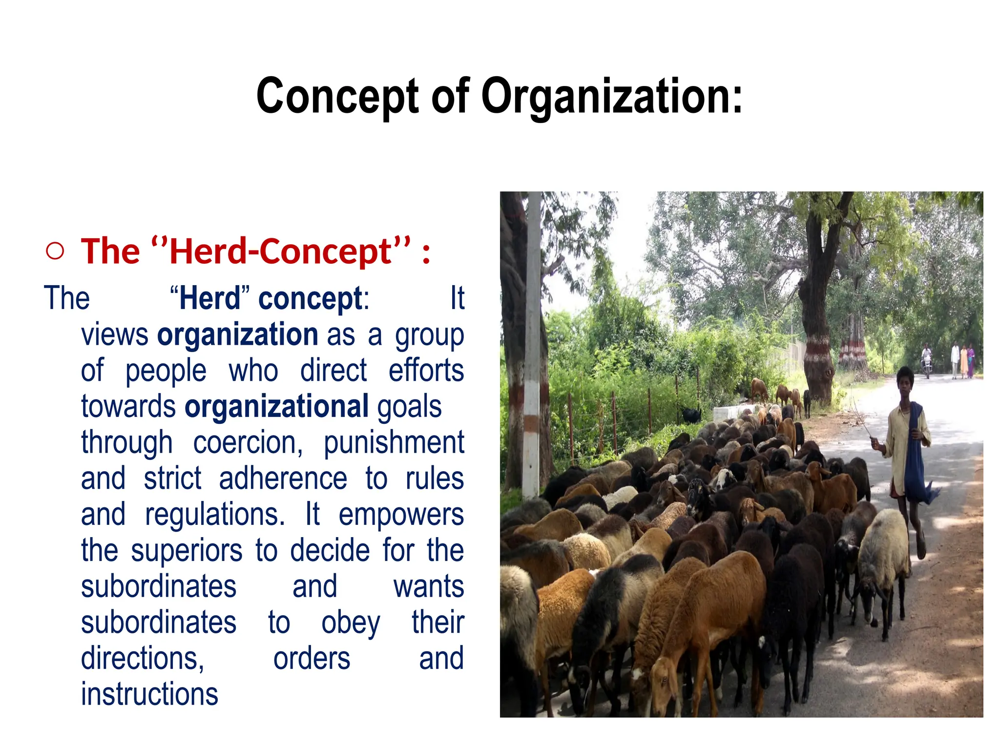 Concept of Organization:
o The ‘’Herd-Concept’’ :
The “Herd” concept: It
views organization as a group
of people who direct efforts
towards organizational goals
through coercion, punishment
and strict adherence to rules
and regulations. It empowers
the superiors to decide for the
subordinates and wants
subordinates to obey their
directions, orders and
instructions
 