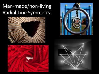 Man-made/non-living
Radial Line Symmetry
 