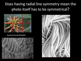 Does having radial line symmetry mean the
photo itself has to be symmetrical?
Asymmetrical & Radial
 