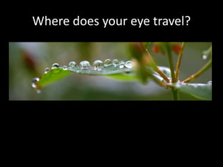 Where does your eye travel?
 