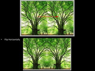 • Flip Horizontally
 