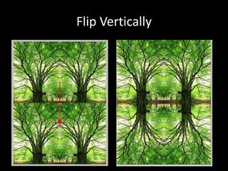 Flip Vertically
 