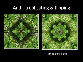 And ….replicating & flipping
FINAL PRODUCT!
 