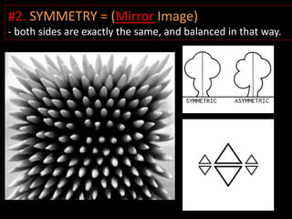 #2. SYMMETRY = (Mirror Image)
- both sides are exactly the same, and balanced in that way.
 