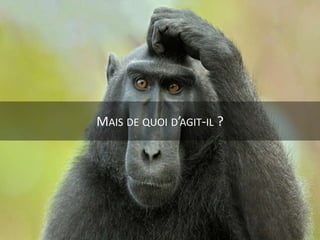 MAIS DE QUOI D’AGIT-IL ?
 