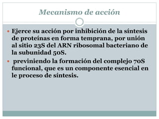 Mecanismo de acción 
 Ejerce su acción por inhibición de la síntesis 
de proteínas en forma temprana, por unión 
al sitio 23S del ARN ribosomal bacteriano de 
la subunidad 50S. 
 previniendo la formación del complejo 70S 
funcional, que es un componente esencial en 
le proceso de síntesis. 
 