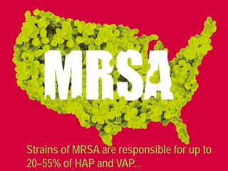 Strains of MRSA are responsible for up to
20–55% of HAP and VAP...
 