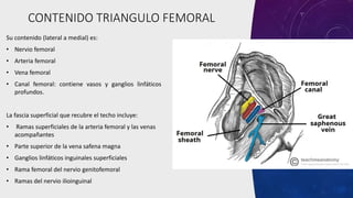 CONTENIDO TRIANGULO FEMORAL
Su contenido (lateral a medial) es:
• Nervio femoral
• Arteria femoral
• Vena femoral
• Canal femoral: contiene vasos y ganglios linfáticos
profundos.
La fascia superficial que recubre el techo incluye:
• Ramas superficiales de la arteria femoral y las venas
acompañantes
• Parte superior de la vena safena magna
• Ganglios linfáticos inguinales superficiales
• Rama femoral del nervio genitofemoral
• Ramas del nervio ilioinguinal
 