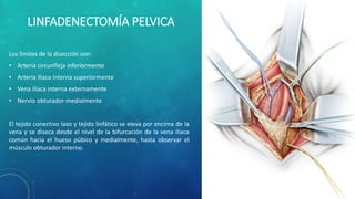 LINFADENECTOMÍA PELVICA
Los límites de la disección son:
• Arteria circunfleja inferiormente
• Arteria ilíaca interna superiormente
• Vena ilíaca interna externamente
• Nervio obturador medialmente
El tejido conectivo laxo y tejido linfático se eleva por encima de la
vena y se diseca desde el nivel de la bifurcación de la vena ilíaca
común hacia el hueso púbico y medialmente, hasta observar el
músculo obturador interno.
 