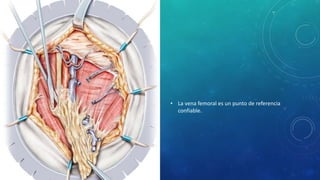 • La vena femoral es un punto de referencia
confiable.
 