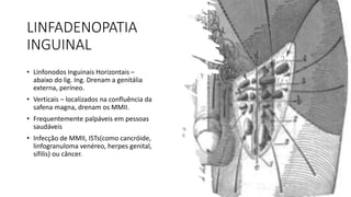 LINFADENOPATIA
INGUINAL
• Linfonodos Inguinais Horizontais –
abaixo do lig. Ing. Drenam a genitália
externa, períneo.
• Verticais – localizados na confluência da
safena magna, drenam os MMII.
• Frequentemente palpáveis em pessoas
saudáveis
• Infecção de MMII, ISTs(como cancróide,
linfogranuloma venéreo, herpes genital,
sífilis) ou câncer.
 