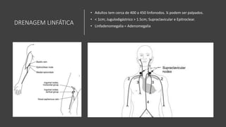 DRENAGEM LINFÁTICA
• Adultos tem cerca de 400 a 450 linfonodos. ¼ podem ser palpados.
• < 1cm; Jugulodigástrico > 1.5cm; Supraclavicular e Epitroclear.
• Linfadenomegalia = Adenomegalia
 