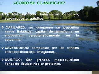 ¿COMO SE CLASIFICAN?
 En tres subtipos: linfagiomas capilares,
cavernosos y quístico.

 CAPILARES: se componen de pequeños
vasos linfáticos, capilar de tamaño y se
encuentran
característicamente
en
la
epidermis.
 CAVERNOSOS: compuesto por los canales
linfáticos dilatados, linfagiomas.

 QUISTICO: Son grandes, macroquísticos
llenos de líquido, rico en proteínas.

 