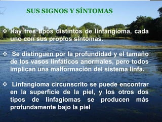 SUS SIGNOS Y SÍNTOMAS
 Hay tres tipos distintos de linfangioma, cada
uno con sus propios síntomas.

 Se distinguen por la profundidad y el tamaño
de los vasos linfáticos anormales, pero todos
implican una malformación del sistema linfa.
 Linfangioma circunscrito se puede encontrar
en la superficie de la piel, y los otros dos
tipos de linfagiomas se producen más
profundamente bajo la piel.

 