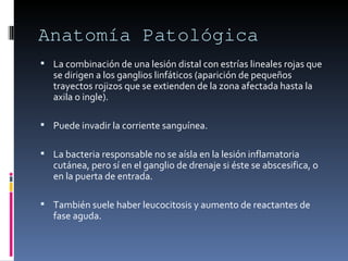 Linfangitis Reticular Linfangitis Necrotizante | PPT