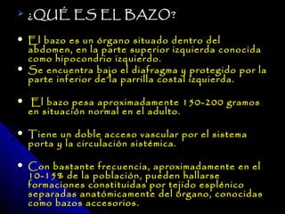    ¿QUÉ ES EL BAZO?

   El bazo es un órgano situado dentro del
    abdomen, en la parte superior izquierda conocida
    como hipocondrio izquierdo.
   Se encuentra bajo el diafragma y protegido por la
    parte inferior de la parrilla costal izquierda.

    El bazo pesa aproximadamente 150-200 gramos
    en situación normal en el adulto.

   Tiene un doble acceso vascular por el sistema
    porta y la circulación sistémica.

   Con bastante frecuencia, aproximadamente en el
    10-15% de la población, pueden hallarse
    formaciones constituidas por tejido esplénico
    separadas anatómicamente del órgano, conocidas
    como bazos accesorios.
 