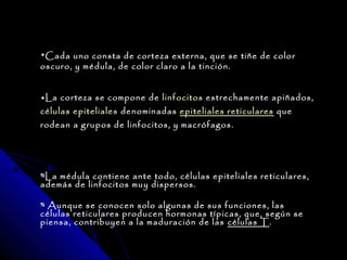 •Cada uno consta de corteza externa, que se tiñe de color
oscuro, y médula, de color claro a la tinción.


•La corteza se compone de linfocitos estrechamente apiñados,
células epiteliales denominadas epiteliales reticulares que
rodean a grupos de linfocitos, y macrófagos.




 La médula contiene ante todo, células epiteliales reticulares,
además de linfocitos muy dispersos.

  Aunque se conocen solo algunas de sus funciones, las
células reticulares producen hormonas típicas, que, según se
piensa, contribuyen a la maduración de las células T .
 