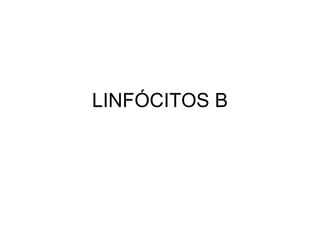 LINFÓCITOS B 