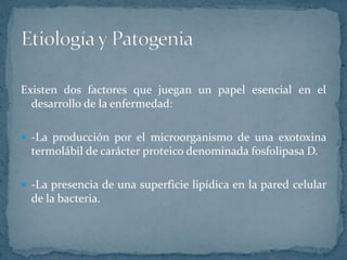 Existen dos factores que juegan un papel esencial en el
desarrollo de la enfermedad:
-La producción por el microorganismo de una exotoxina
termolábil de carácter proteico denominada fosfolipasa D.
-La presencia de una superficie lipídica en la pared celular
de la bacteria.