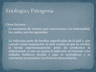 Otros factores :
La secuencia de eventos que caracterizan a la enfermedad,
los cuales, son los siguientes:
La infección parte de heridas superficiales de la piel y, aún
cuando exista supuración, lo más común es que se recobre
la herida espontáneamente antes de producirse la
enfermedad; si esto no ocurre la infección se extiende a los
nódulos linfáticos locales y aquí se multiplican y se
convierten en parásitos facultativos intracelulares.