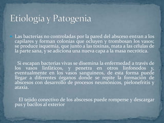  Las bacterias no controladas por la pared del absceso entran a los
capilares y forman colonias que ocluyen y trombosan los vasos;
se produce isquemia, que junto a las toxinas, mata a las células de
la parte sana, y se adiciona una nueva capa a la masa necrótica.
Si escapan bacterias vivas se disemina la enfermedad a través de
los vasos linfáticos, y penetra en otros linfonodos y,
eventualmente en los vasos sanguíneos, de esta forma puede
llegar a diferentes órganos donde se repite la formación de
abscesos con desarrollo de procesos neumónicos, pielonefritis y
ataxia.
El tejido conectivo de los abscesos puede romperse y descargar
pus y bacilos al exterior