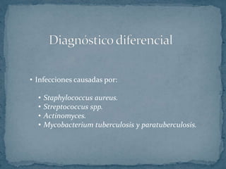 • Infecciones causadas por:
• Staphylococcus aureus.
• Streptococcus spp.
• Actinomyces.
• Mycobacterium tuberculosis y paratuberculosis.
