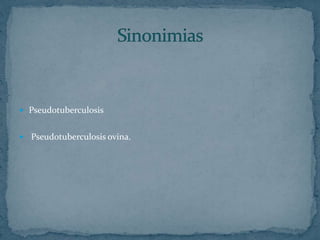  Pseudotuberculosis
Pseudotuberculosis ovina.