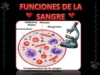 FUNCIONES DE LA SANGRE