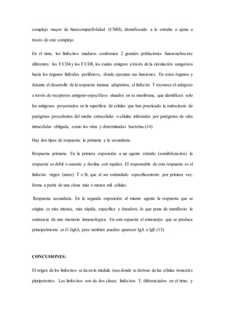 complejo mayor de histocompatibilidad (CMH), identificando a lo extraño o ajeno a
través de este complejo.
En el timo, los linfocitos maduros conforman 2 grandes poblaciones funcionalmente
diferentes: los T CD4 y los T CD8, los cuales emigran a través de la circulación sanguínea
hacia los órganos linfoides periféricos, donde ejecutan sus funciones. En estos órganos y
durante el desarrollo de la respuesta inmune adaptativa, el linfocito T reconoce el antígeno
a través de receptores antígeno-específicos situados en su membrana, que identifican solo
los antígenos proyectados en la superficie de células que han practicado la endocitosis de
patógenos procedentes del medio extracelular o células infectadas por patógenos de vida
intracelular obligada, como los virus y determinadas bacterias.(14)
Hay dos tipos de respuesta: la primaria y la secundaria.
Respuesta primaria. En la primera exposición a un agente extraño (sensibilización) la
respuesta es débil o ausente y declina con rapidez. El responsable de esta respuesta es el
linfocito virgen (naive) T o B, que al ser estimulado específicamente por primera vez,
forma a partir de una clona más o menos mil células.
Respuesta secundaria. En la segunda exposición al mismo agente la respuesta que se
origina es más intensa, más rápida, específica y duradera, lo que pone de manifiesto la
existencia de una memoria inmunológica. En esta repuesta el anticuerpo que se produce
principalmente es G (IgG), pero también pueden aparecer IgA o IgE.(15)
CONCUSIONES:
El origen de los linfocitos se da en la médula ósea donde se derivan de las células troncales
pluripotentes. Los linfocitos son de dos clases: linfocitos T, diferenciados en el timo; y
 