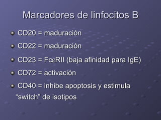Marcadores de linfocitos B <ul><li>CD20 = maduración </li></ul><ul><li>CD22 = maduración </li></ul><ul><li>CD23 = Fc  RII...