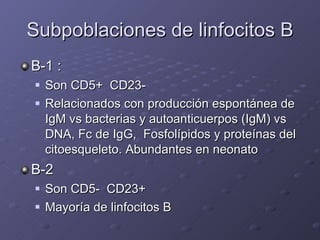 Subpoblaciones de linfocitos B <ul><li>B-1 :  </li></ul><ul><ul><li>Son CD5+  CD23-  </li></ul></ul><ul><ul><li>Relacionad...