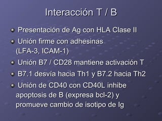 Interacción T / B <ul><li>Presentación de Ag con HLA Clase II </li></ul><ul><li>Unión firme con adhesinas  (LFA-3, ICAM-1)...